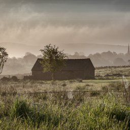 Butterton