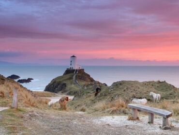 A stunning scene of the Llanddwyn Island at sunset, with the wild horses roaming around